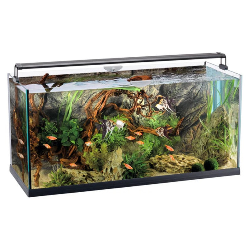 ELBA 110  8mm glass