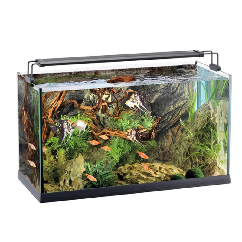 ELBA 80  8mm glass