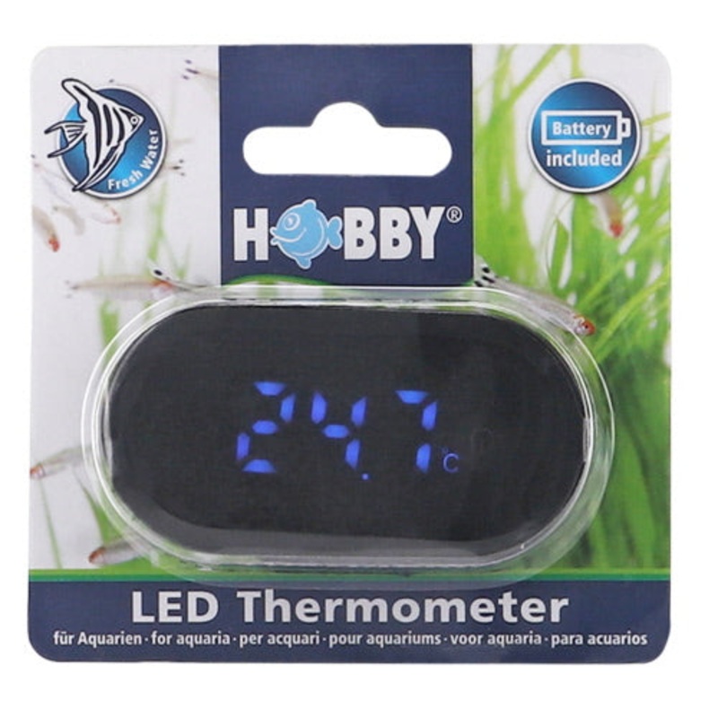 LED  THERMOMETER