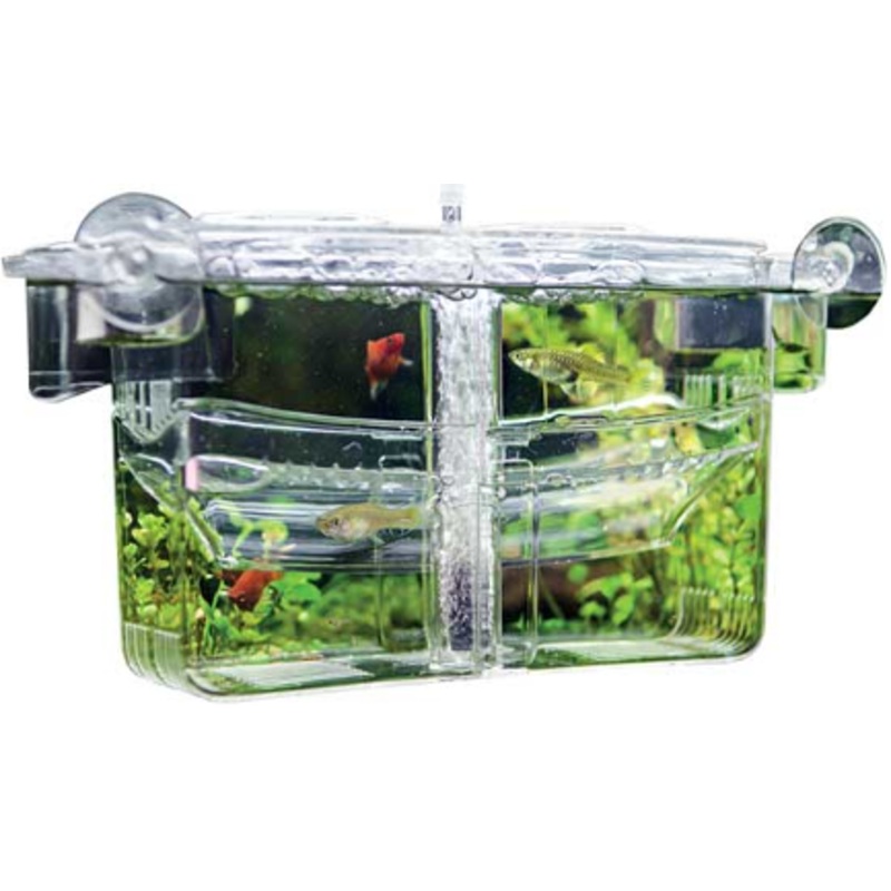 NIDO 4 FLOATING SPAWNING TANK