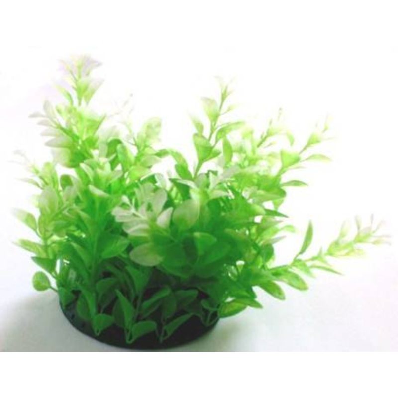 PLASTIC PLANT WITH WHITE ENDS 20cm