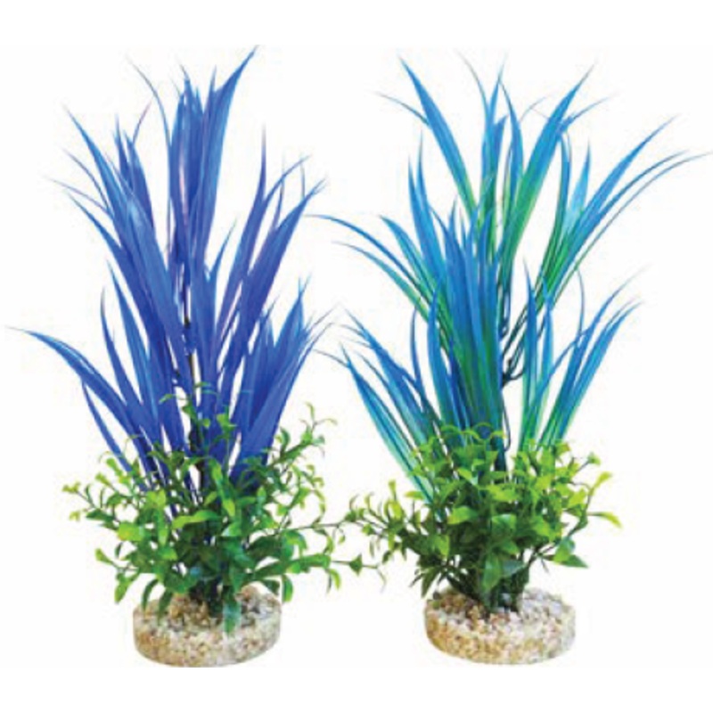 AQUA BLUE OCEAN PLANT