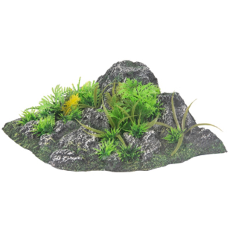 CONDROZ ROCK + PLANT ANGLE