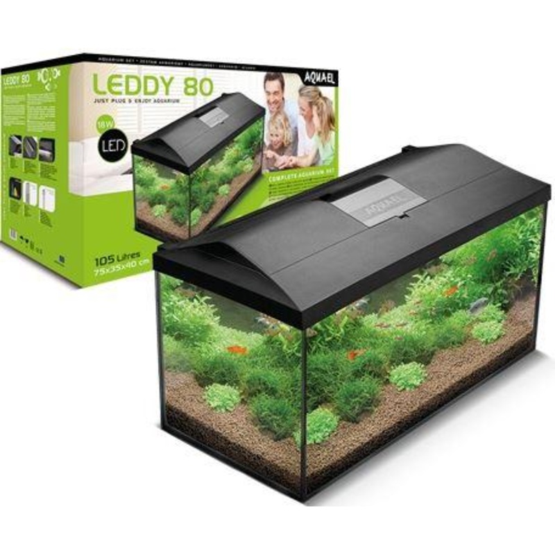 LEDDY SET PLUS