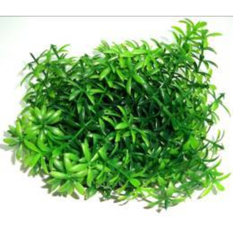 PLASTIC BUSH GREEN  9cm