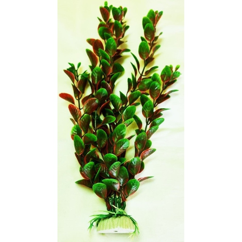 PLASTIC PLANTS RED & GREEN ROUND