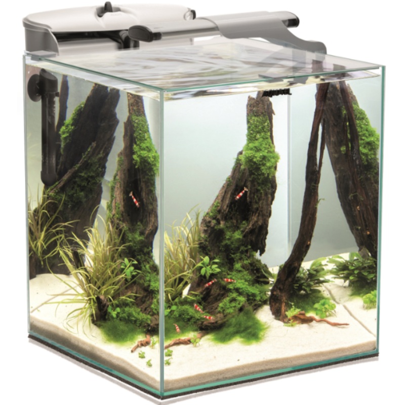 SHRIMP SET 35 WHITE DUO