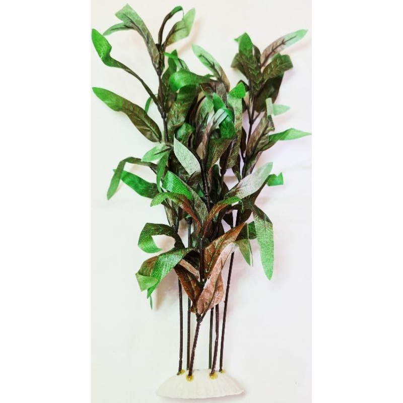 SILK PLANT 20  50CM