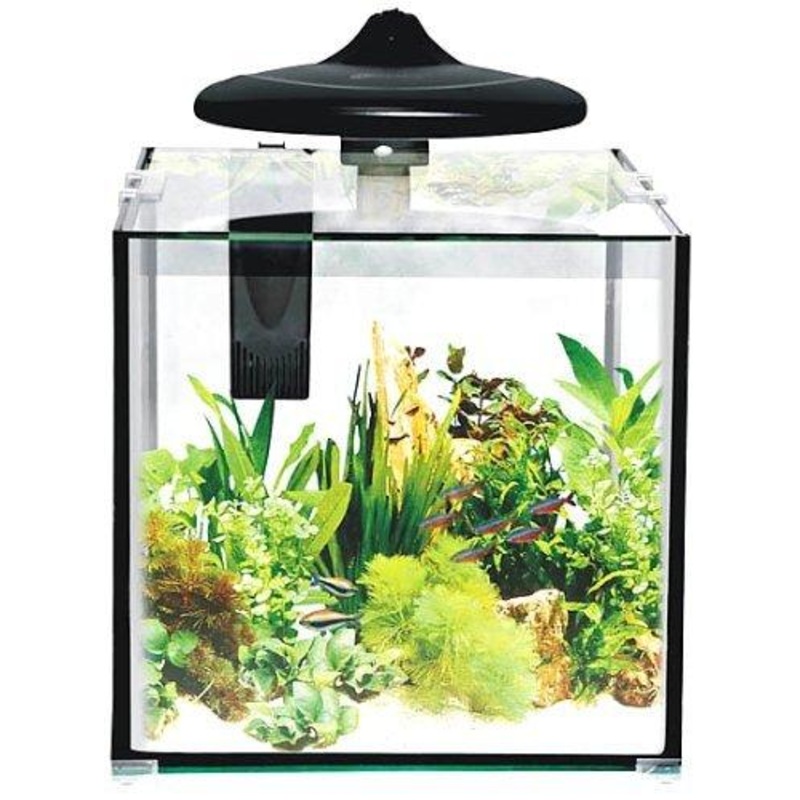Small aquarium 30 litres