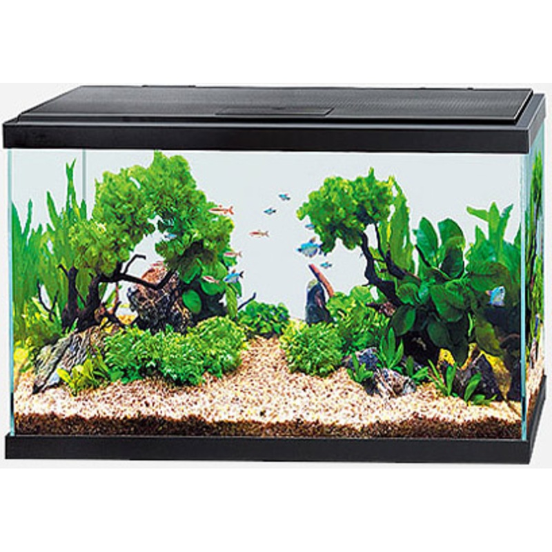 WONDER PALACE AQUARIUM