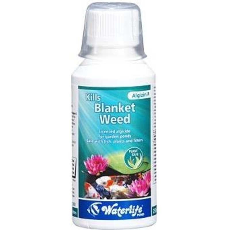 ALGIZIN P