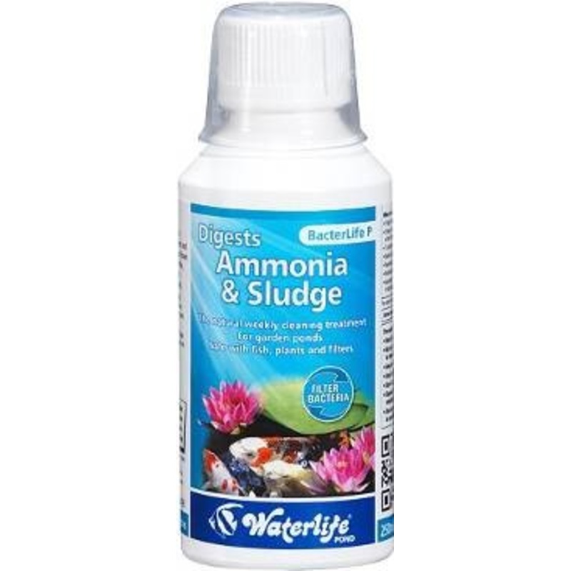 BACTERLIFE P