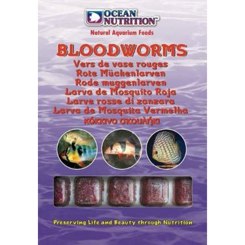 BLOODWORMS CUBE TRAY  100g