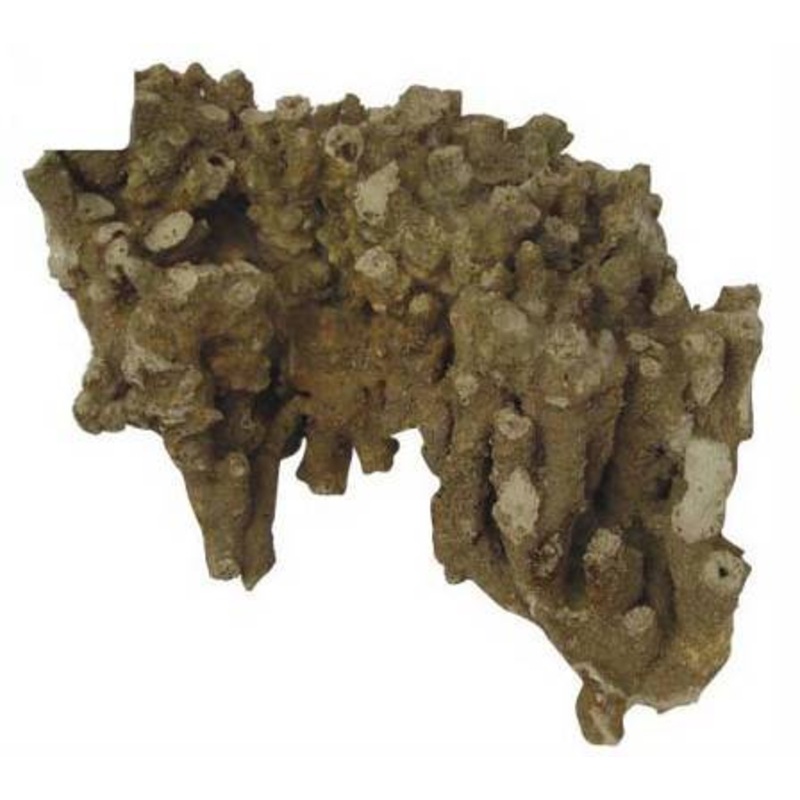 CORAL ROCK LARGE per kg