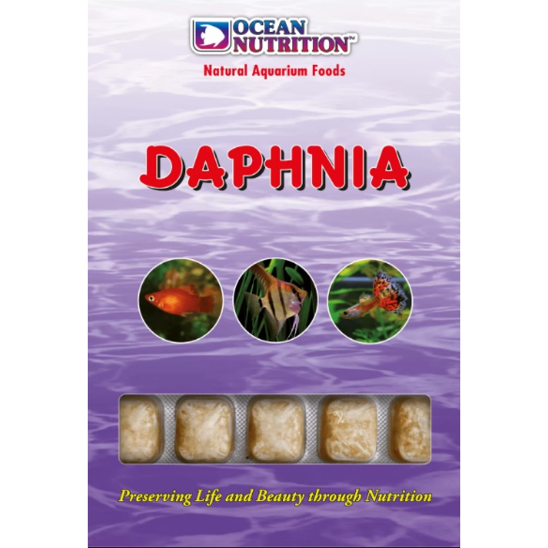 DAPHNIA CUBE TRAY 100g