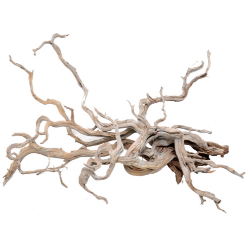 DRIFT ROOT (spider root) per KG
