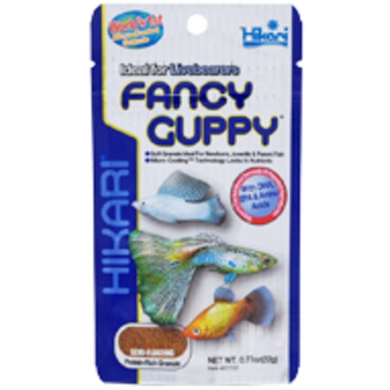 FANCY GUPPY