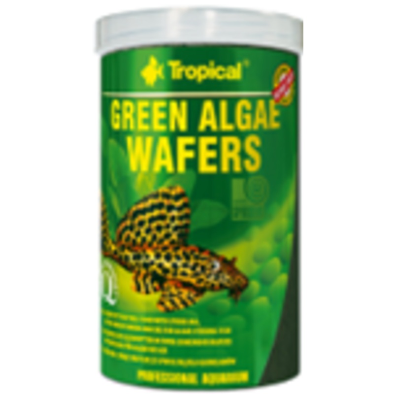 GREEN ALGAE WAFERS
