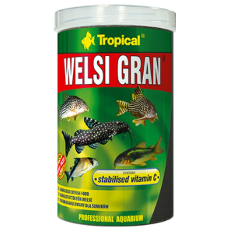WELSI GRAN