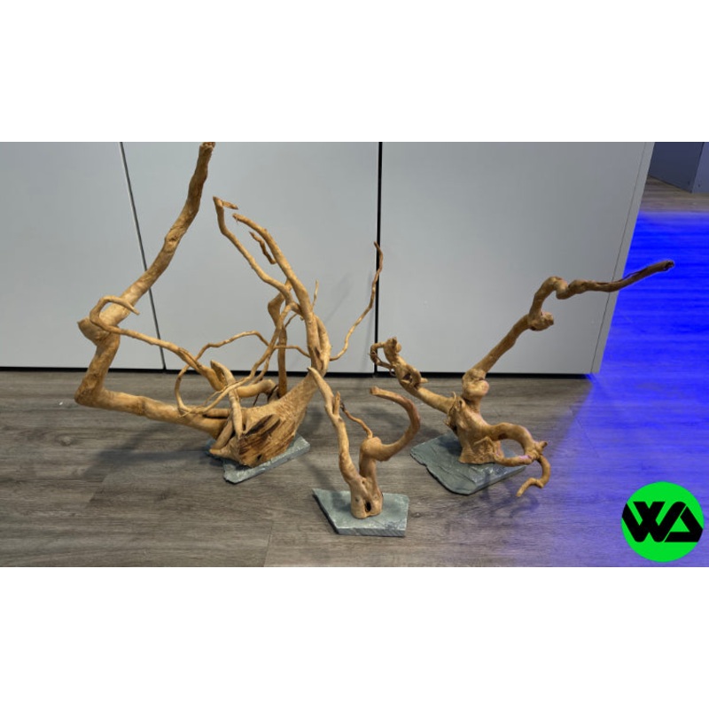 Aquarium Wood w/ Slate