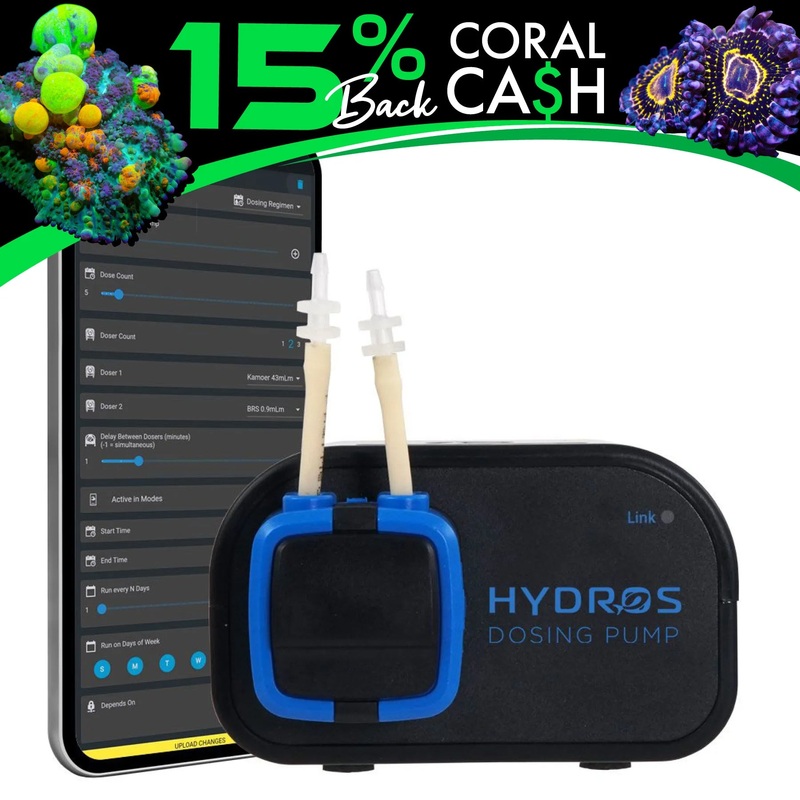 Hydros Dosing Pump