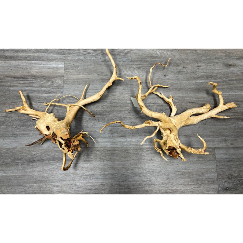 Spider Wood - Various Sizes