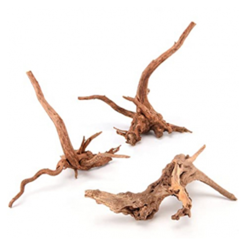 Wood Root - Various Sizes