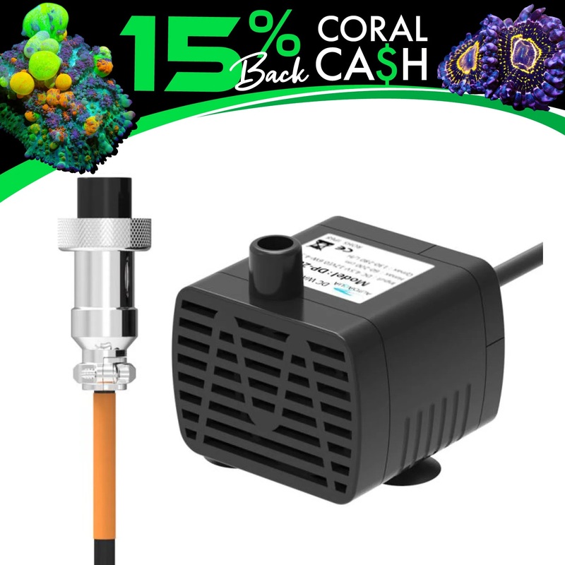 Hydros DC Micro Pump