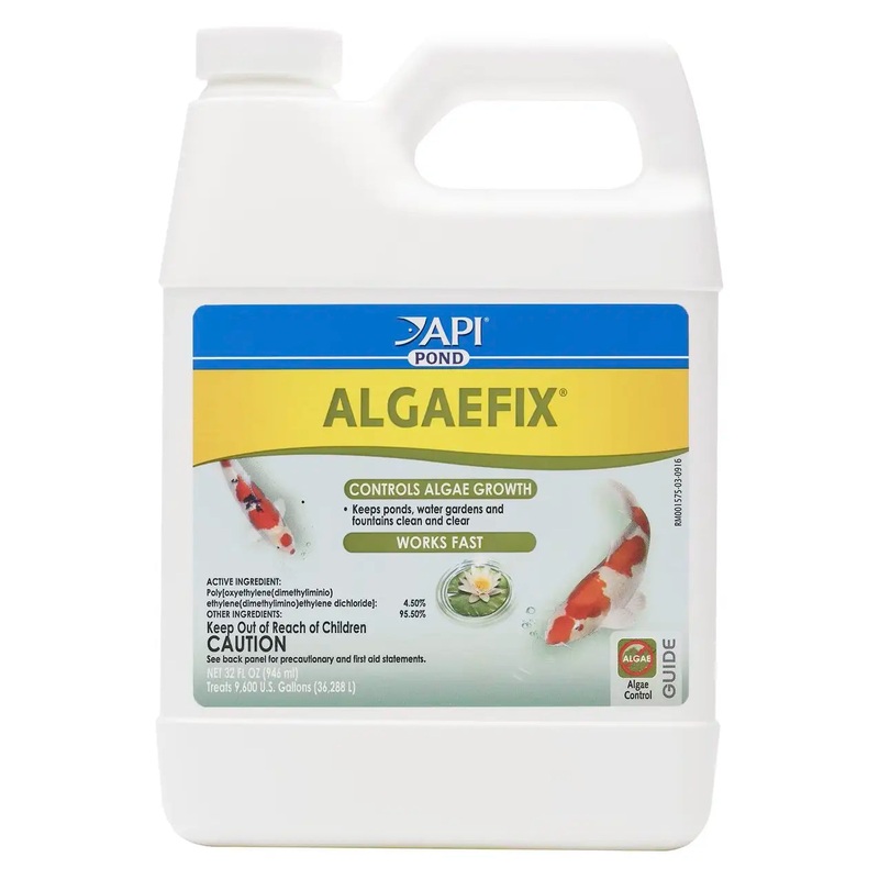 API Algaefix 32oz