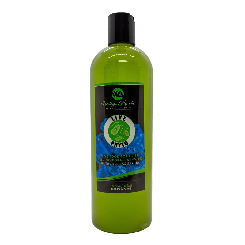 Whitlyn Aquatics LIVE PHYTO - 500ml / 16oz Live Phytoplankton