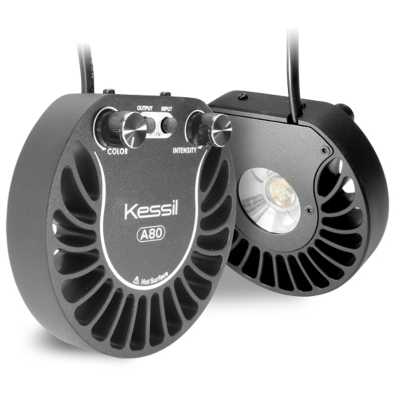 Kessil A80 Tuna Blue LED Aquarium Light