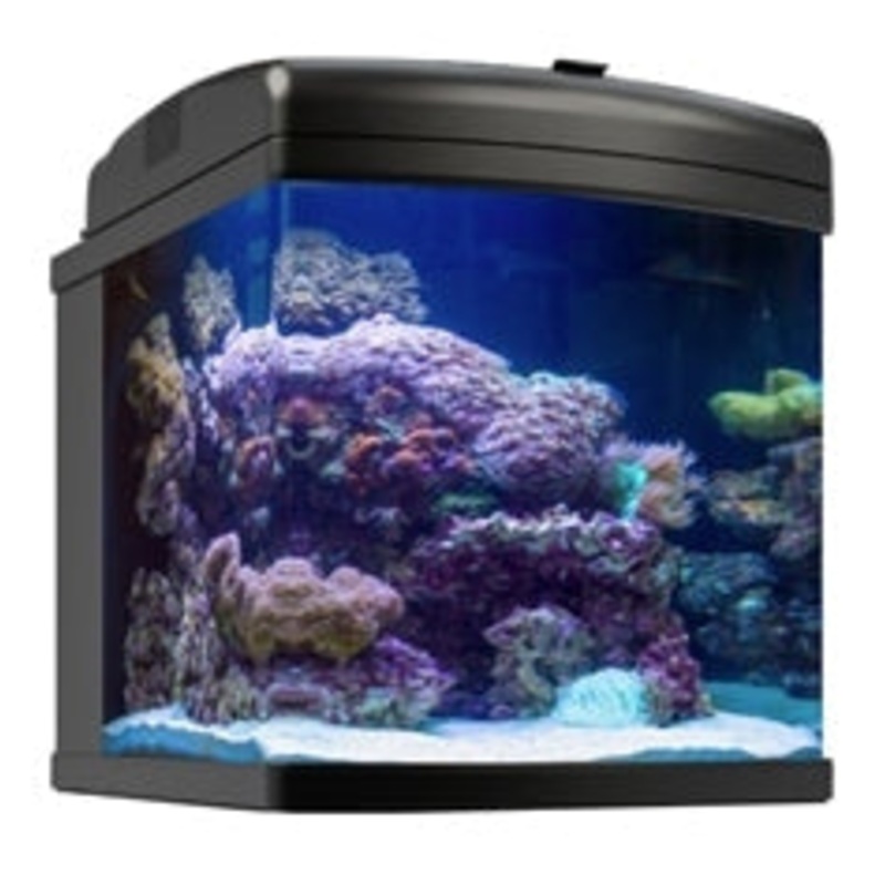 JBJ 24G NANO CUBE - AQUARIUM + LED (2)