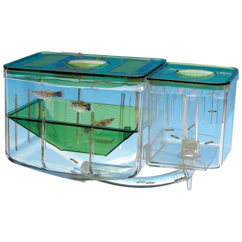 Penn Plax AQUA-NURSERY-SM