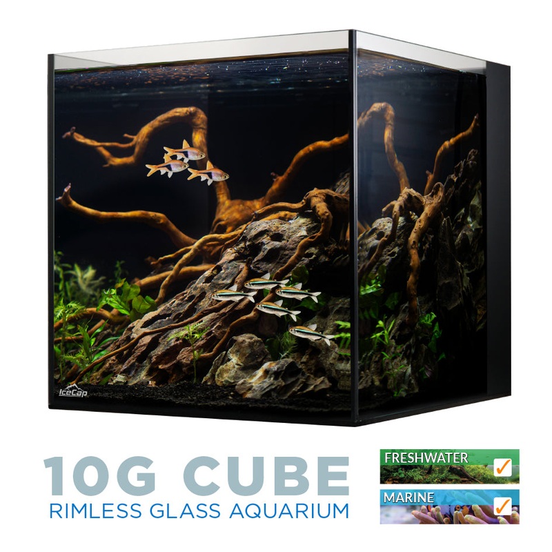 IceCap All In One Aquarium 10G & 20G