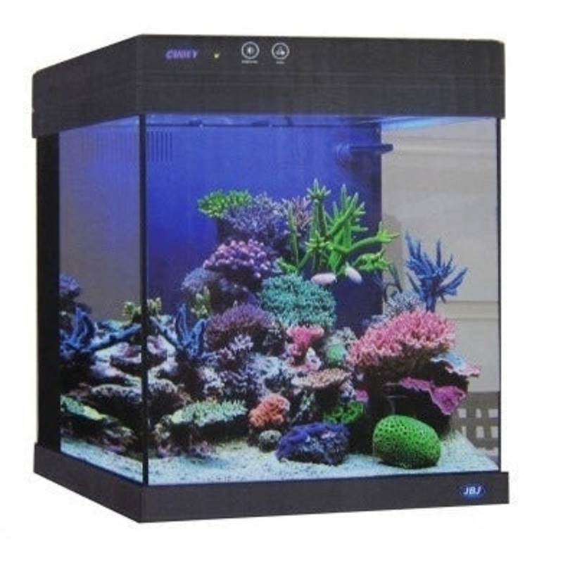 JBJ 20 GALLON CUBEY