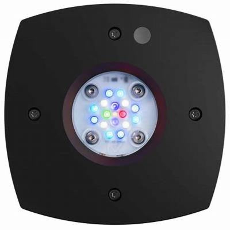 AquaIllumination Prime 16HD Reef - Black
