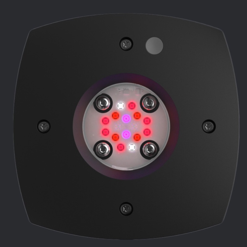AquaIllumination Prime Fuge
