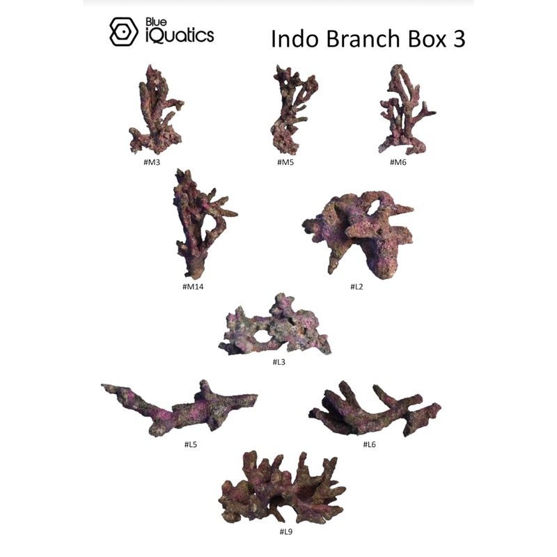 Blue iQuatics Indo Branch Replica Box 3 (9 pcs.)