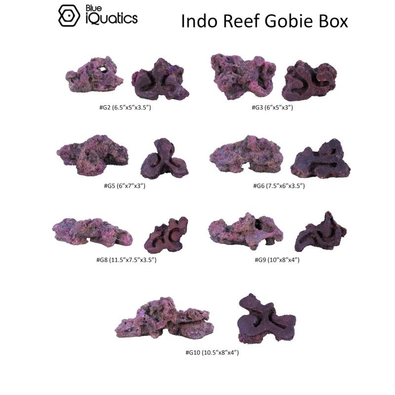 Blue iQuatics Indo Reef Goby Box (7 pcs.)