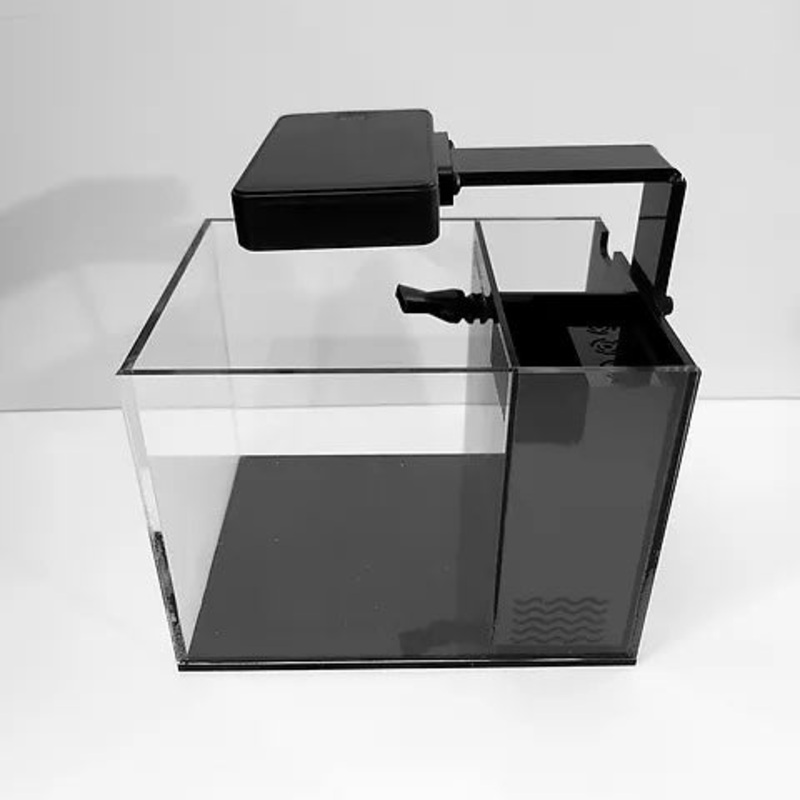 PNW Custom Small-In-One | One Gallon Desktop Aquarium