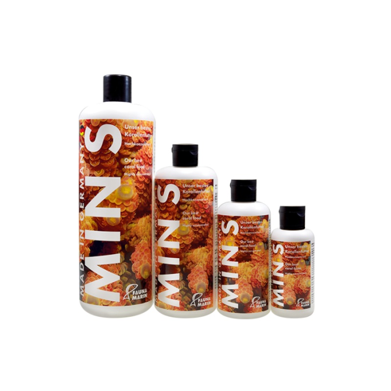 Fauna Marin Min S Coral Food