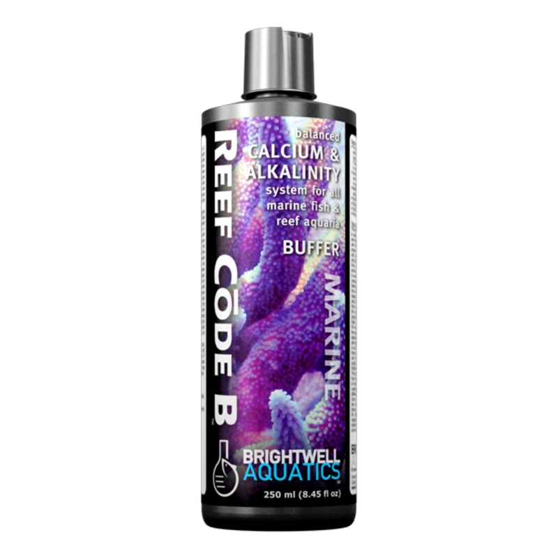 Reef Code B