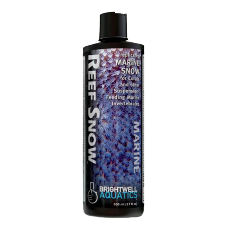 Reef Snow