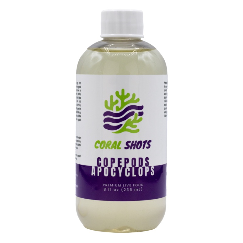 Apocyclops Live Copepods - Coral Shots