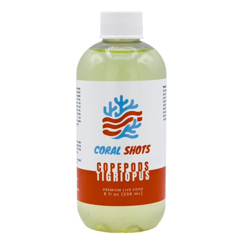 Tigriopus Live Copepods - Coral Shots