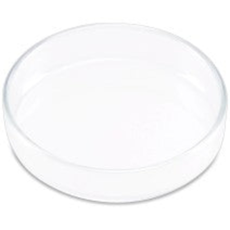 Glass Feeding Dish for Shrimp
