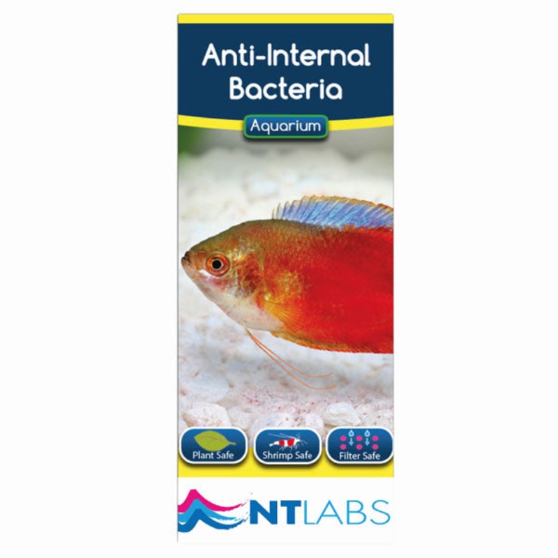 Nt Labs Anti-Internal Bacteria