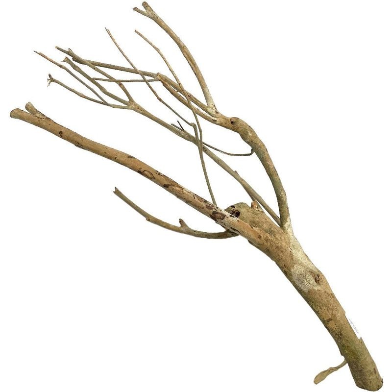 Talawa wood per kg