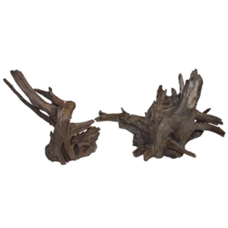 Tree root small 10-20cm