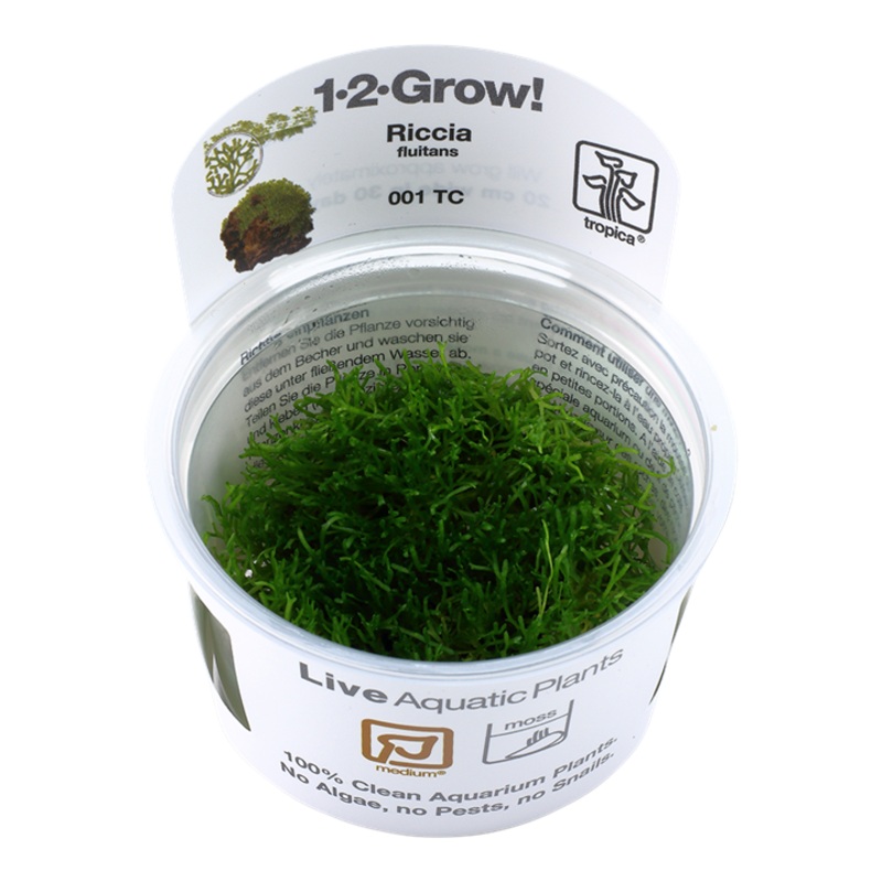 Tropica 1-2 Grow Riccia Fluitans